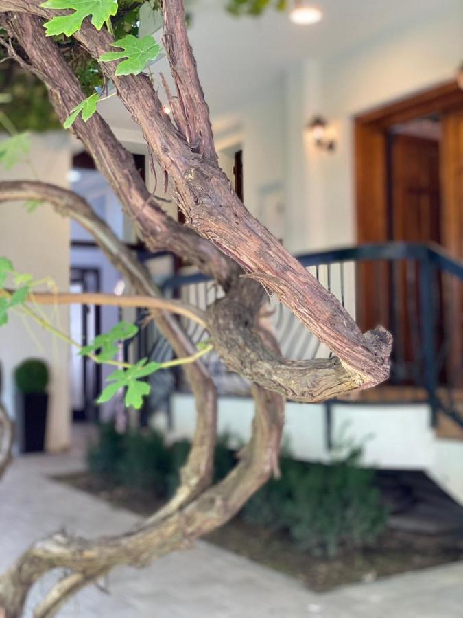 Grand Boutique Hotel Priştine Dış mekan fotoğraf